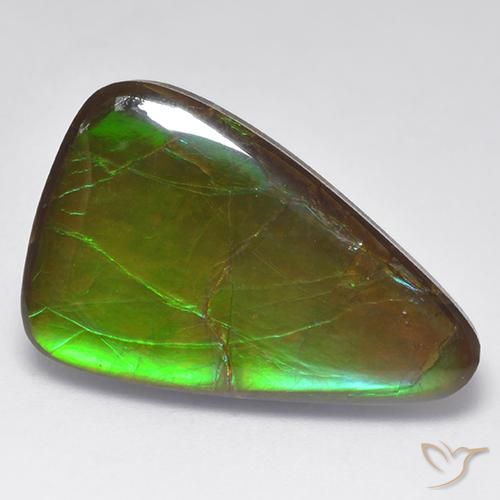 16.16ct Natural Multicolor amolita, Elegante, Opaco