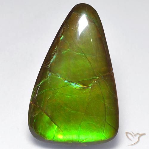 amolita Multicolor natural de 16.16 ct, Elegante, Opaco