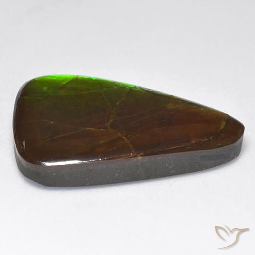 amolita Multicolor natural de 16.16 ct, Elegante, Opaco
