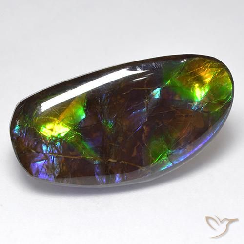 16.71ct Natural Multicolor amolita, Elegante, Opaco
