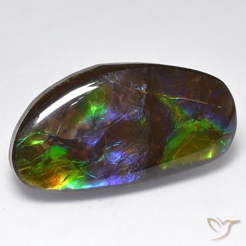 amolita Multicolor natural de 16.71 ct, Elegante, Opaco