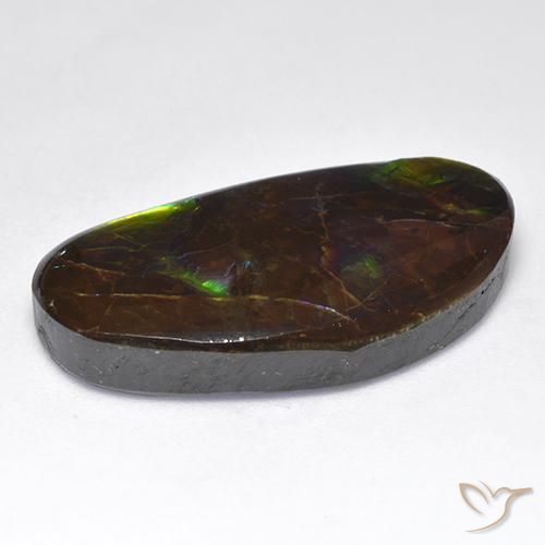 amolita Multicolor natural de 16.71 ct, Elegante, Opaco