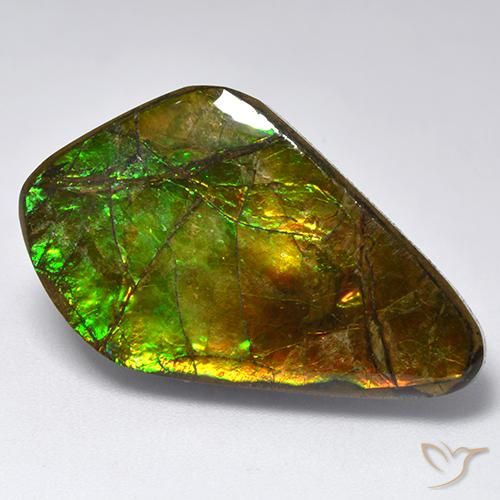19.12ct Natural Multicolor amolita, Elegante, Opaco