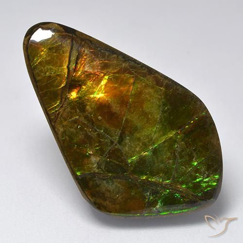 amolita Multicolor natural de 19.12 ct, Elegante, Opaco
