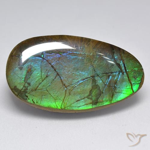 18.04ct Natural Multicolor amolita, Elegante, Opaco