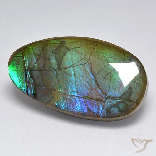 amolita Multicolor natural de 18.04 ct, Elegante, Opaco