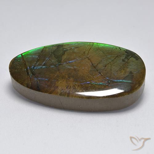 amolita Multicolor natural de 18.04 ct, Elegante, Opaco