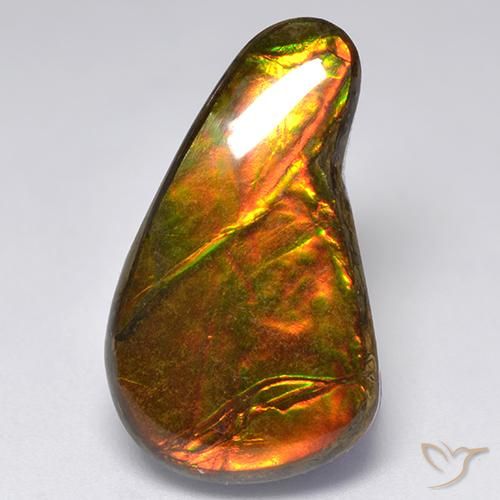 amolita Multicolor natural de 13.11 ct, Elegante, Opaco