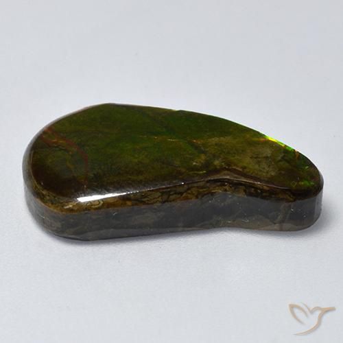 amolita Multicolor natural de 13.11 ct, Elegante, Opaco