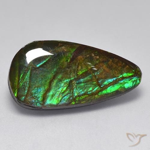 10.04ct Natural Multicolor amolita, Elegante, Opaco