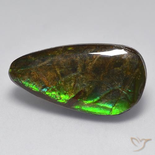 amolita Multicolor natural de 10.04 ct, Elegante, Opaco