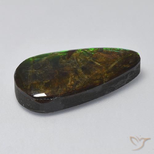 amolita Multicolor natural de 10.04 ct, Elegante, Opaco