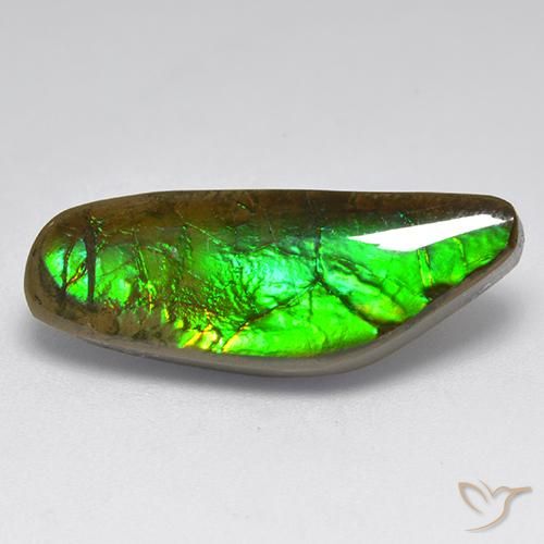 9.60ct Natural Multicolor amolita, Elegante, Opaco