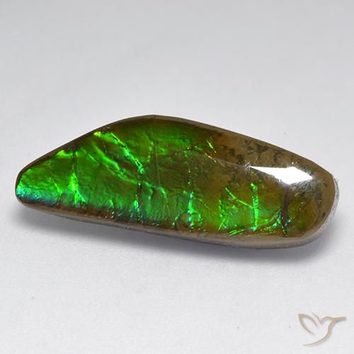 amolita Multicolor natural de 9.60 ct, Elegante, Opaco