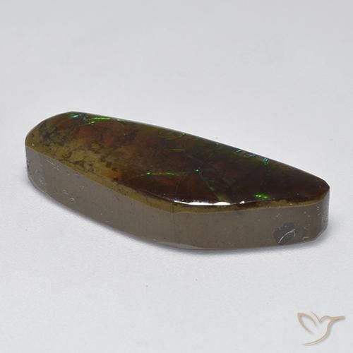 amolita Multicolor natural de 9.60 ct, Elegante, Opaco