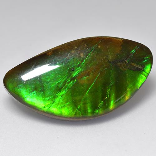 Ammolita multicolor natural de 20,84 ct, forma elegante, opaco