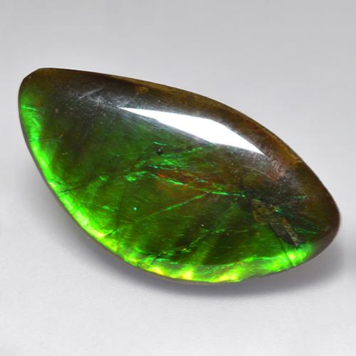 Ammolita multicolor natural de 20,84 ct, forma elegante, opaco