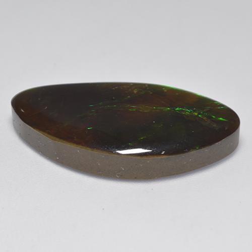 Ammolita multicolor natural de 20,84 ct, forma elegante, opaco