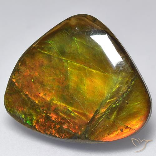 amolita Multicolor natural de 18.32 ct, Elegante, Opaco