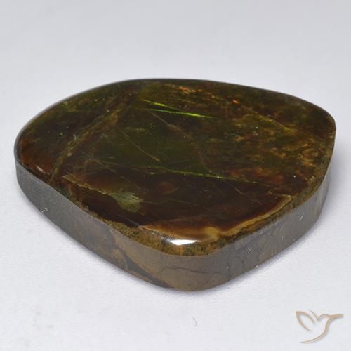 amolita Multicolor natural de 18.32 ct, Elegante, Opaco