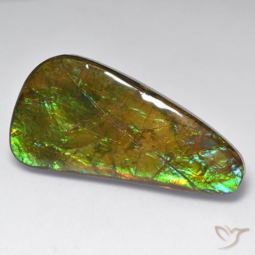 23.60ct Natural Multicolor amolita, Elegante, Opaco