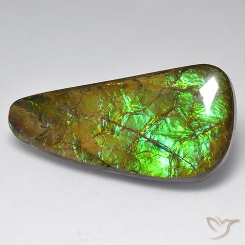 amolita Multicolor natural de 23.60 ct, Elegante, Opaco