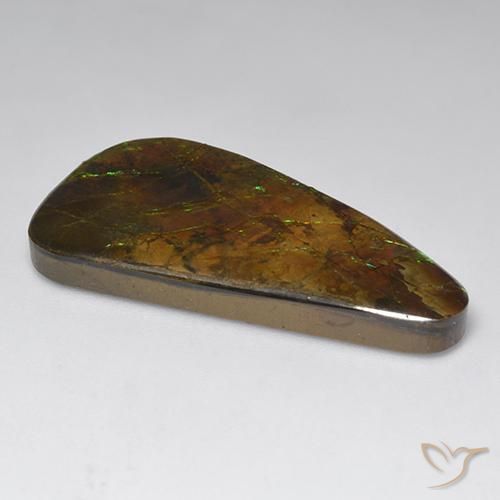 amolita Multicolor natural de 23.60 ct, Elegante, Opaco