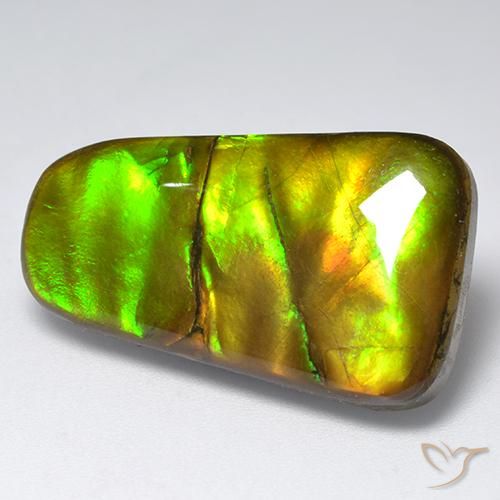amolita Multicolor natural de 18.48 ct, Elegante, Opaco