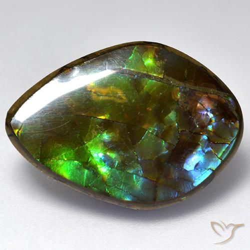 amolita Multicolor natural de 13.64 ct, Elegante, Opaco