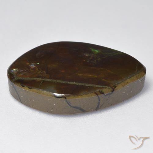 amolita Multicolor natural de 13.64 ct, Elegante, Opaco