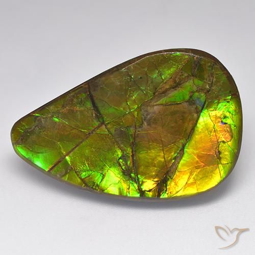 amolita Multicolor natural de 23.14 ct, Elegante, Opaco