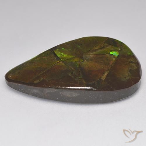amolita Multicolor natural de 23.14 ct, Elegante, Opaco