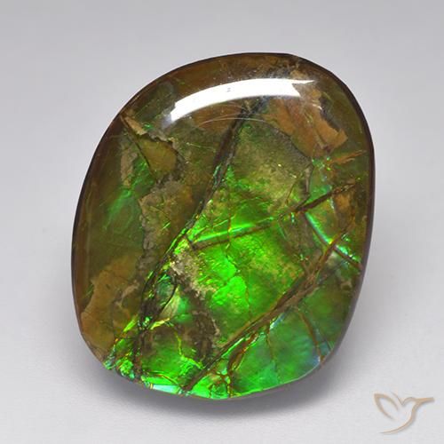 19.23ct Natural Multicolor amolita, Elegante, Opaco