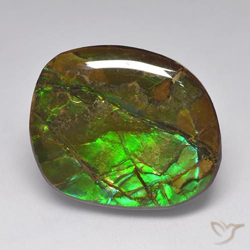 amolita Multicolor natural de 19.23 ct, Elegante, Opaco