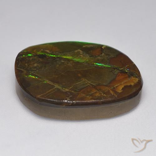 amolita Multicolor natural de 19.23 ct, Elegante, Opaco