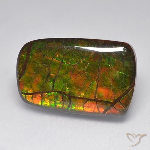 amolita Multicolor natural de 15.22 ct, Elegante, Opaco