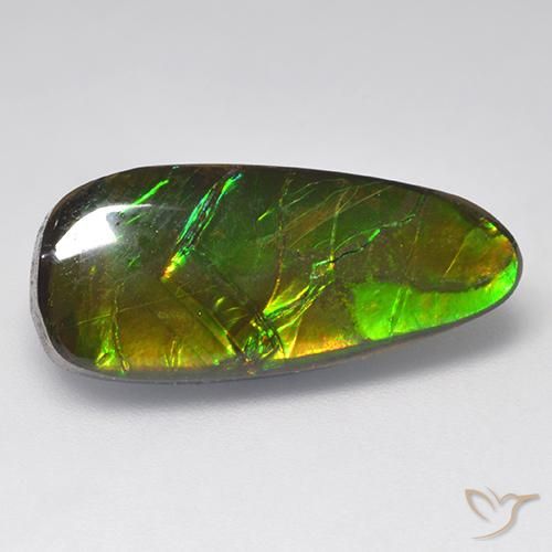 9.58ct Natural Multicolor amolita, Elegante, Opaco