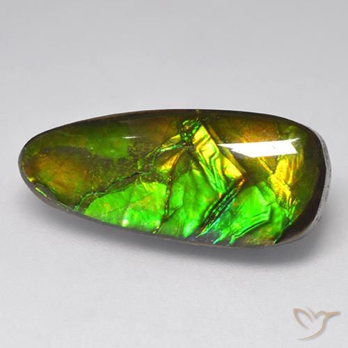 amolita Multicolor natural de 9.58 ct, Elegante, Opaco
