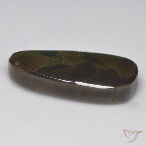 amolita Multicolor natural de 9.58 ct, Elegante, Opaco