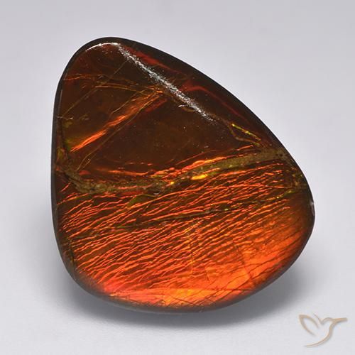 22.11ct Natural Multicolor amolita, Elegante, Opaco