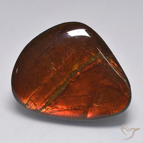 amolita Multicolor natural de 22.11 ct, Elegante, Opaco
