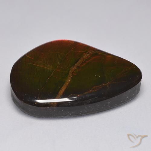 amolita Multicolor natural de 22.11 ct, Elegante, Opaco