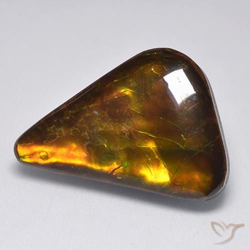 amolita Multicolor natural de 14.34 ct, Elegante, Opaco