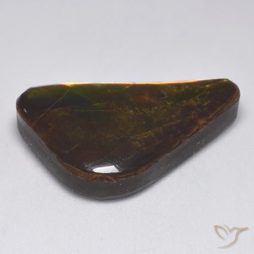 amolita Multicolor natural de 14.34 ct, Elegante, Opaco