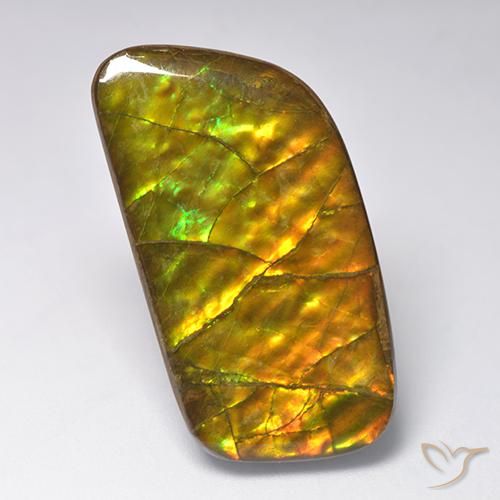 23.24ct Natural Multicolor amolita, Elegante, Opaco