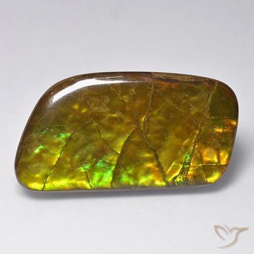 amolita Multicolor natural de 23.24 ct, Elegante, Opaco