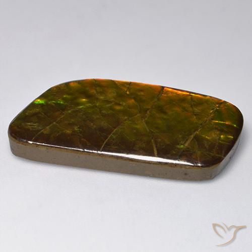 amolita Multicolor natural de 23.24 ct, Elegante, Opaco