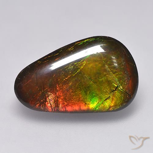 amolita Multicolor natural de 12.85 ct, Elegante, Opaco