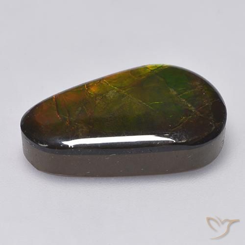 amolita Multicolor natural de 12.85 ct, Elegante, Opaco
