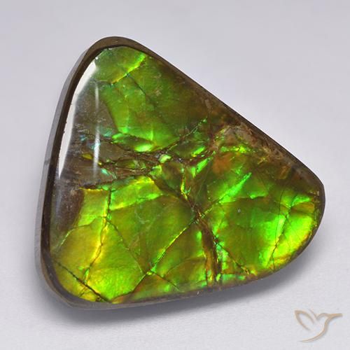 17.90ct Natural Multicolor amolita, Elegante, Opaco